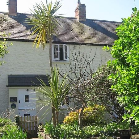 Lime Cottage Minehead Eksteriør bilde